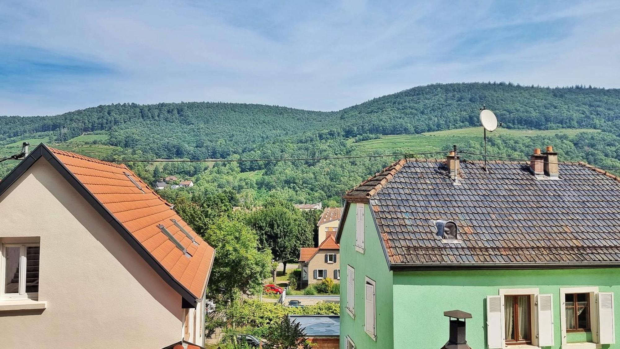 La Buhl Verte - Chic Et Moderne - Calme - Fibre - Relax Bnb Екстер'єр фото